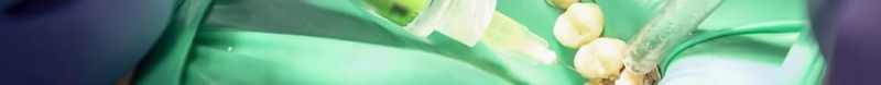Endodoncia